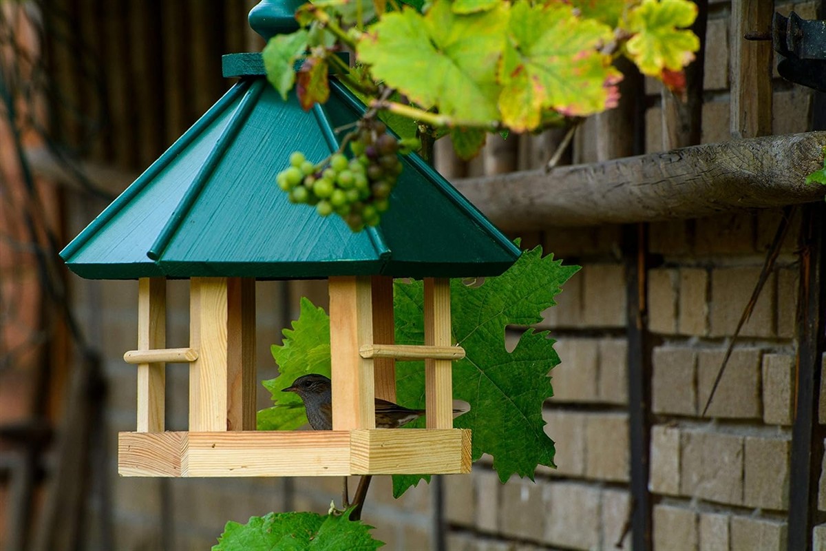 Vogelhaus, Holz, Holzhaus, Grün, Garten