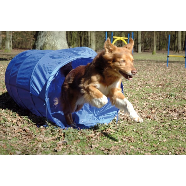 Dobar Agility Tunnel zusammenfaltbar