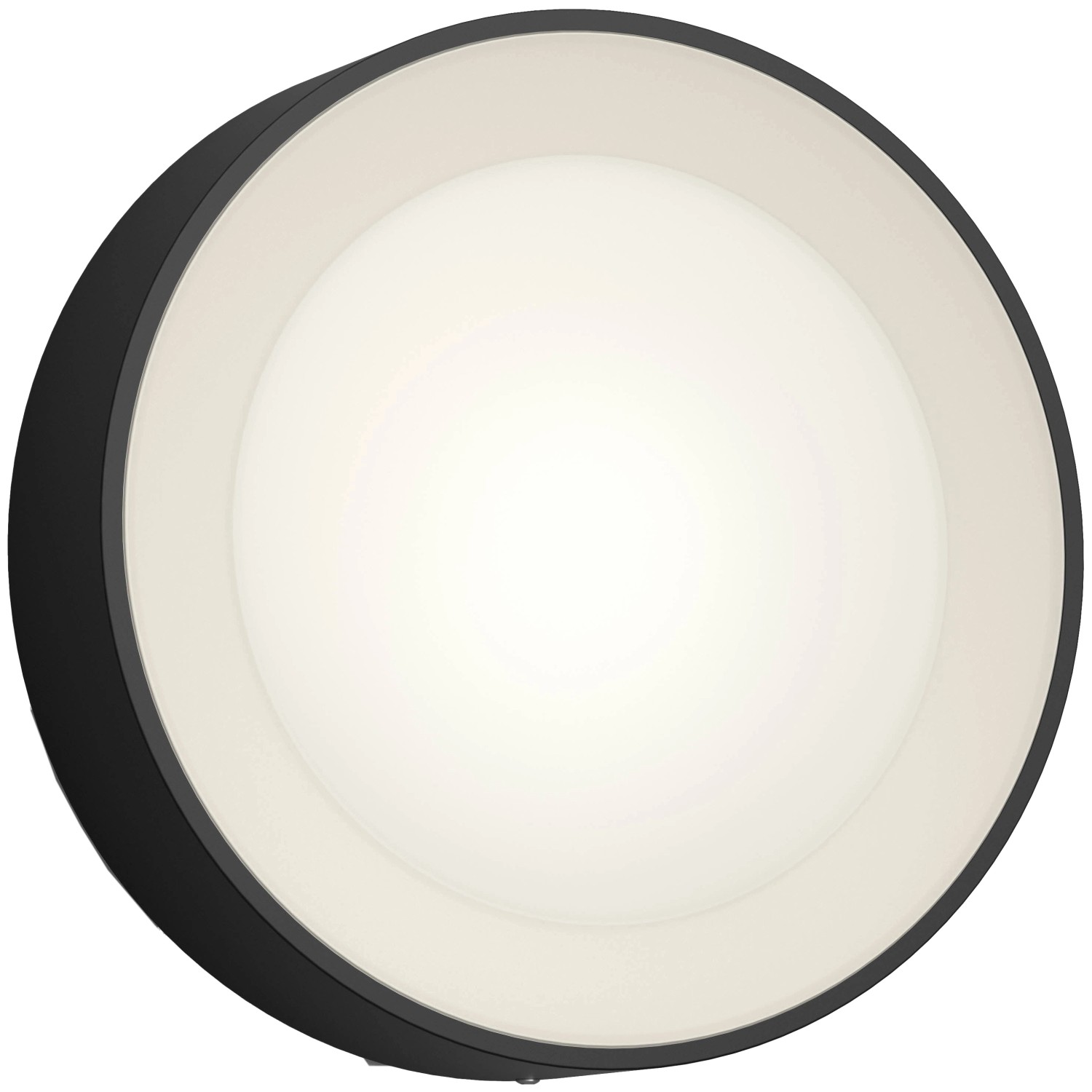 Philips Hue Wandleuchte White & Color Ambiance Daylo Schwarz 1050 lm