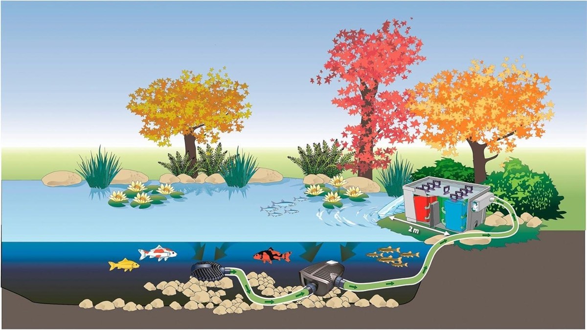 Schwerkraft, Abwasserpumpensystem, Wasserpflanzen, Kiesboden, Bachlauf