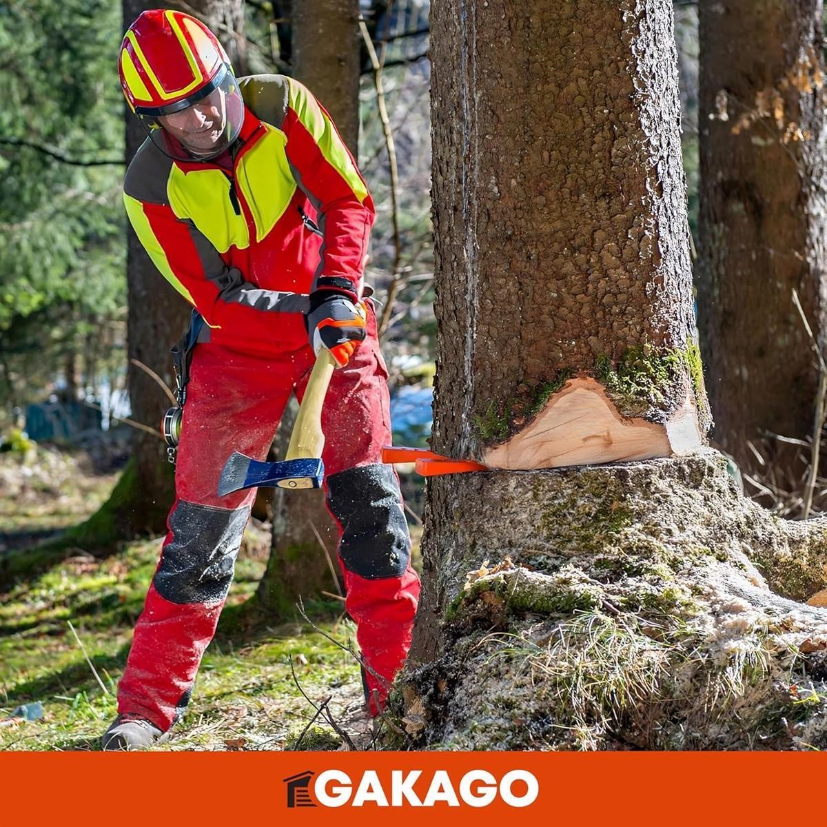 Wald, Baum, Axt, Kettensäge, Schutzausrüstung