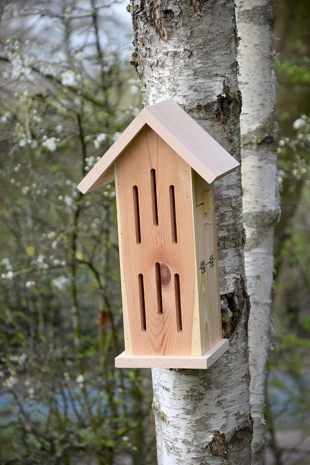 Dobar Luxus-Insektenhotels Schmetterlingshaus Sonnenfalter Natur - Insektenhotel aus Massivholz - Schmetterlingskasten unbehandelt & robust - Schmetterlingshotel für Garten/Terrasse/Balkon
