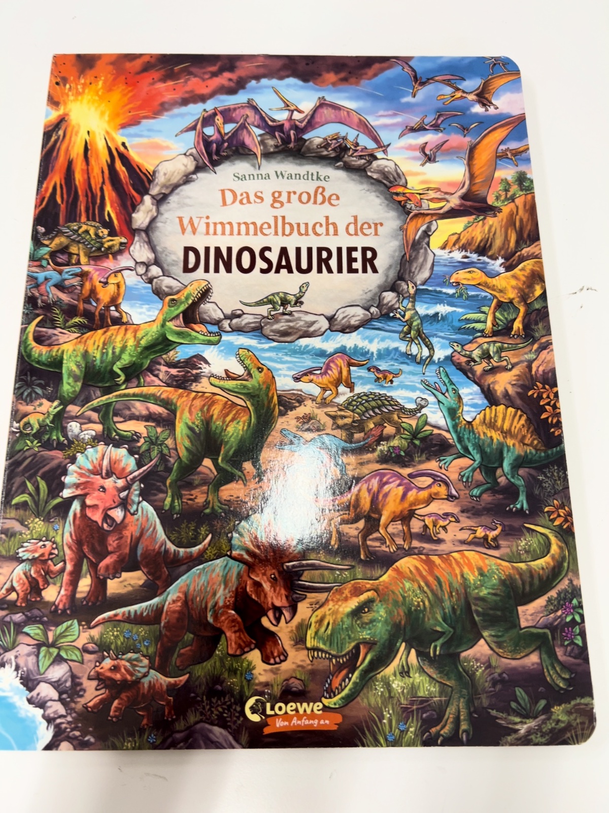 Dinosaurs, Kinderbuch, Wimmelbuch, Saurier, Illustration