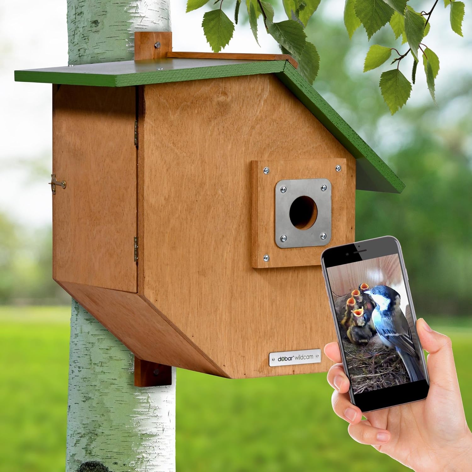 dobar Großer Nistkasten Flachdach aus Holz inklusive HD WiFi-Kamera und App mit austauschbaren Einfluglöchern - 35,5 x 22,5 x 38,5 cm  Grün-Braun