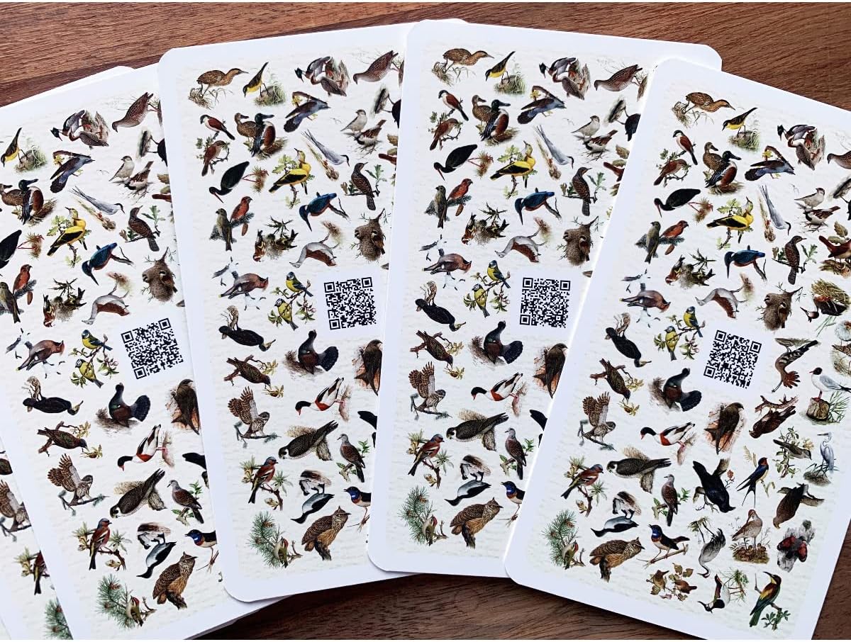 QianShouYan Eulberg Flying Gemstones - A Bird Quartet by Dominik