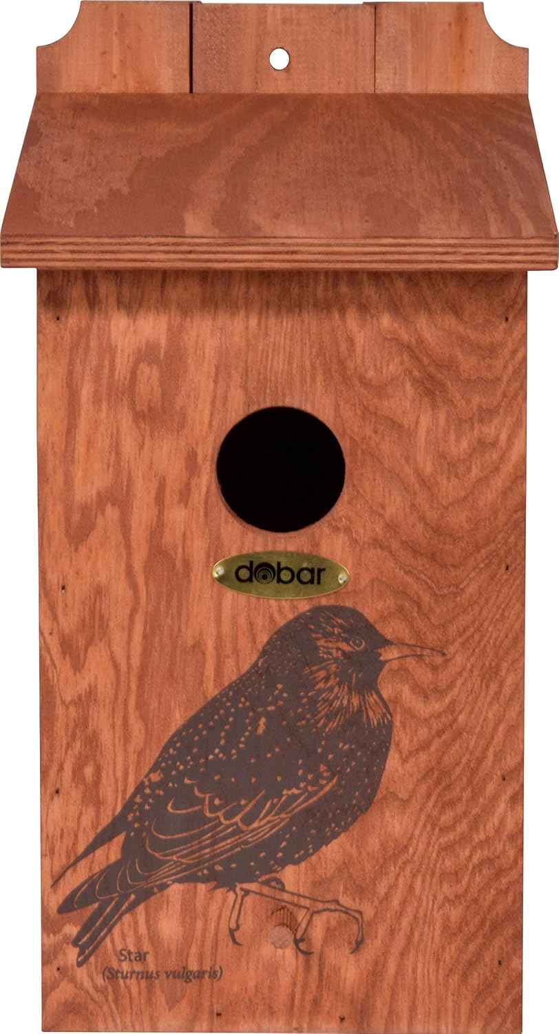 dobar green label Nistkasten "Star" - Starenkasten aus Holz - Nisthilfe für Wildvögel - Wetterbeständig - Nistplatz mit Siebdruckmotiv "Star" - Ø 45 mm - 19 x 20 x 38 cm - Braun