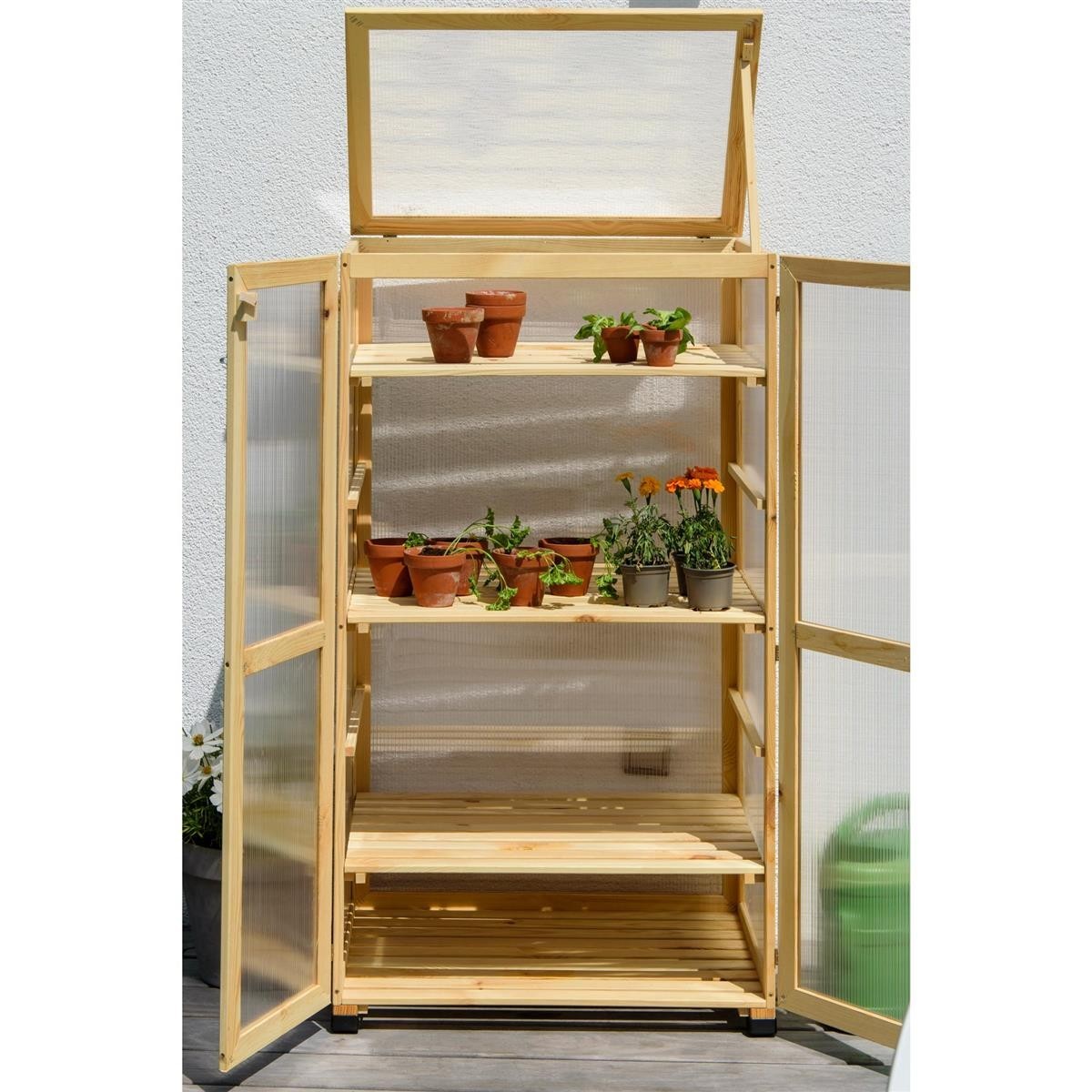 Gewächshaus, Pflanzenregal, Holzständer, Glas-/Plexiglas-Türen, Pflanzgefäße