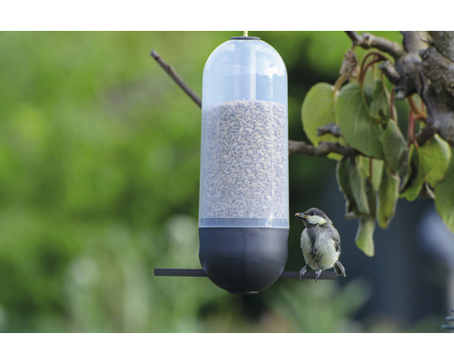 dobar Vogelfutterspender Cornbar 9x25 cm grau