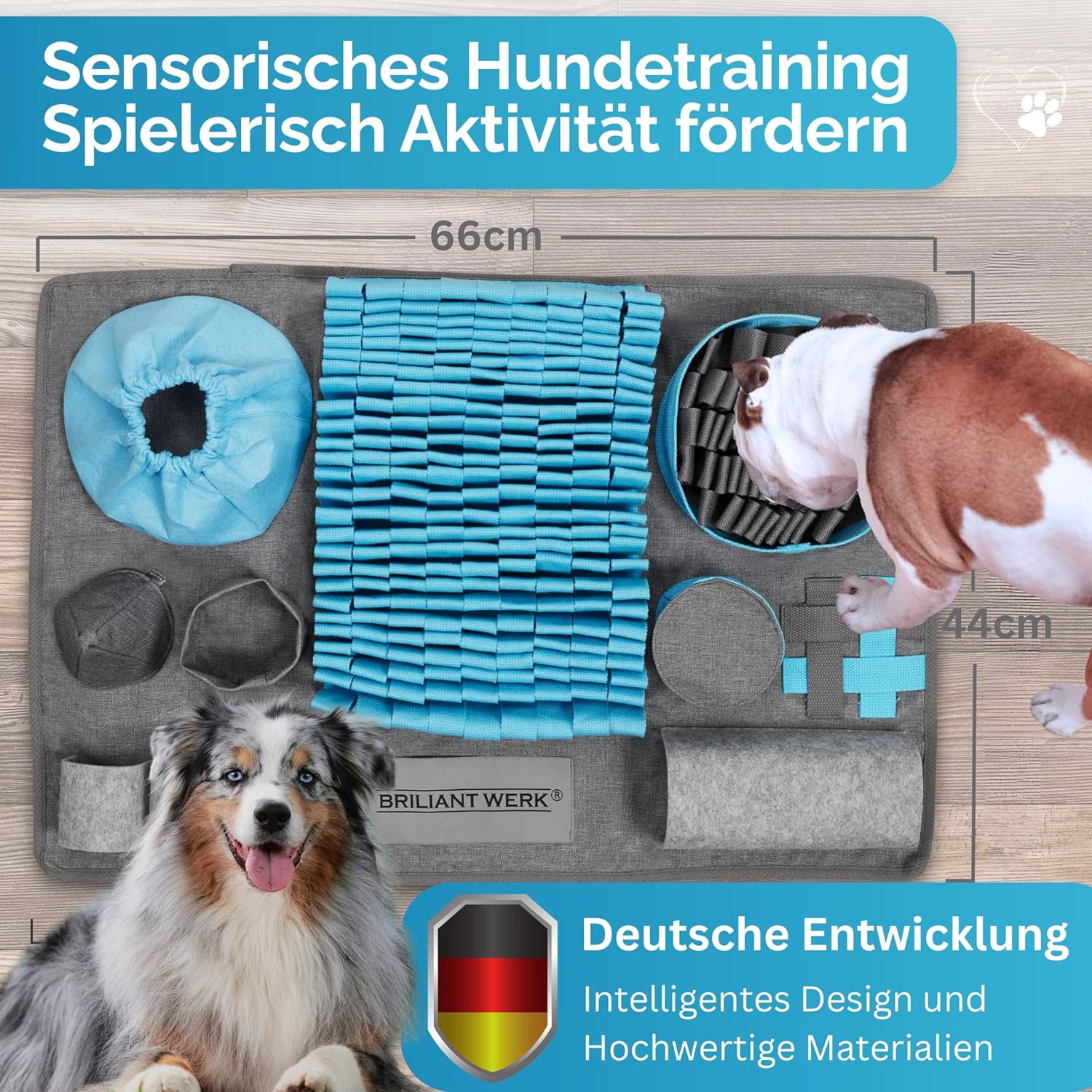 Briliantwerk Schnüffelteppich Hund – Extrem widerstandsfähiges Material - 10 Trainingselemente und 3 Schwierigkeitsstufen Intelligenzspielzeug blau