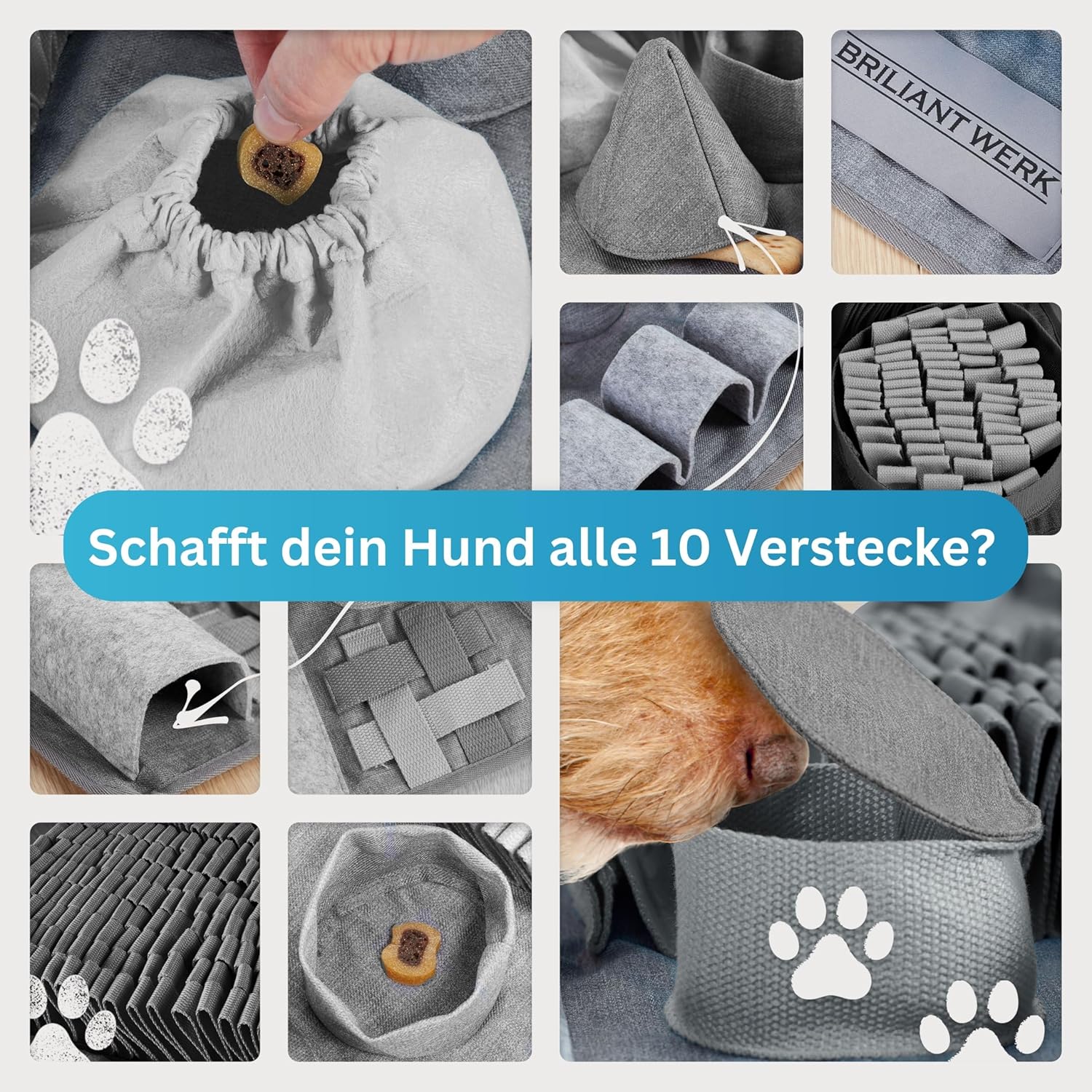 Briliantwerk Schnüffelteppich Hund – Extrem widerstandsfähiges Material - 10 Trainingselemente und 3 Schwierigkeitsstufen Intelligenzspielzeug grau