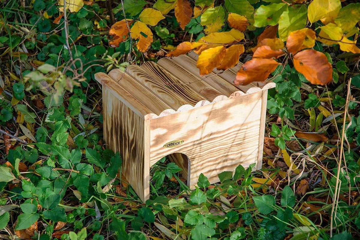 holz, vogelhaus, naturholz, brutkasten, holzbau