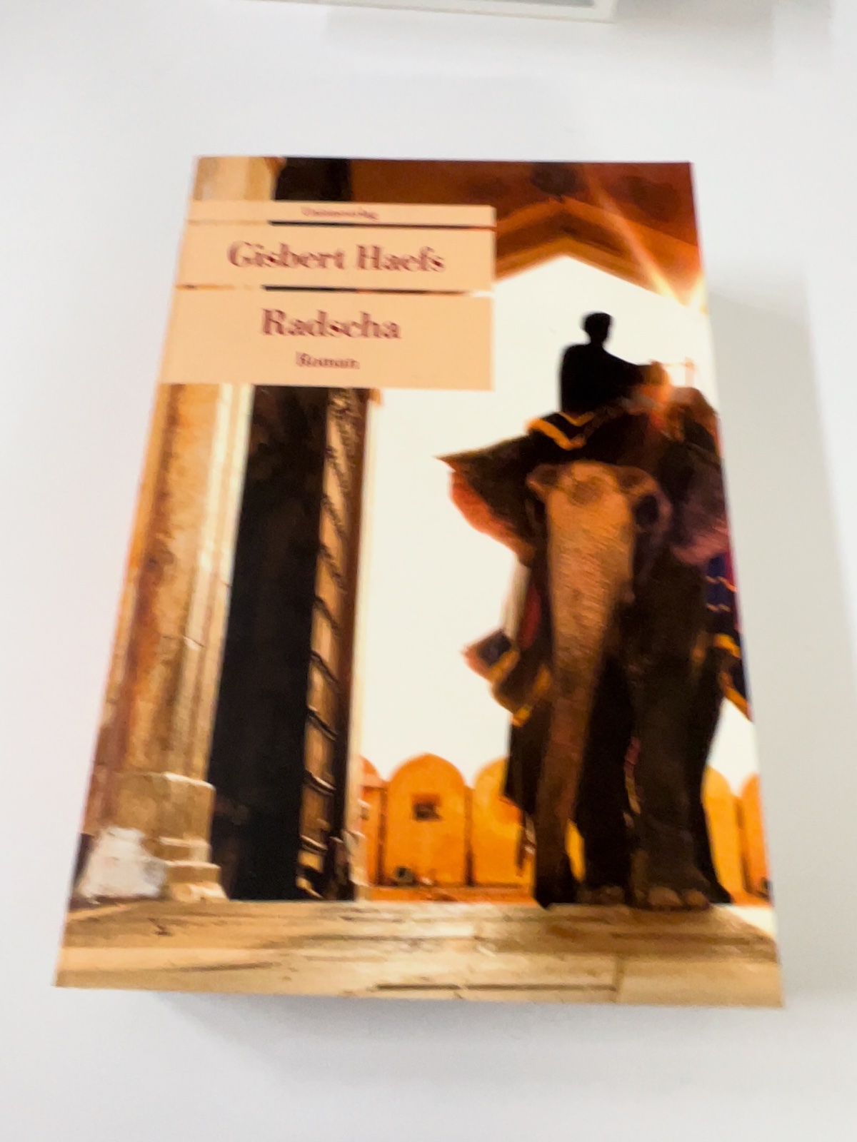 Riad, Roman, Buch, Titel, Hauptfigur
