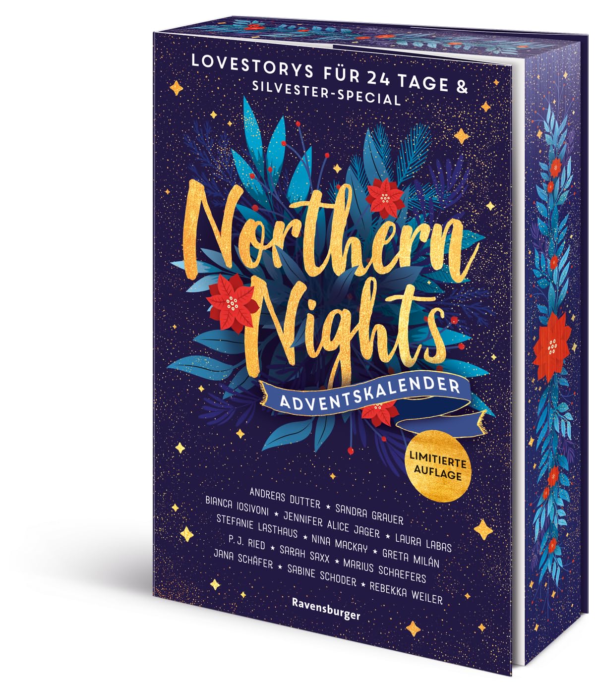 Northern Nights. Ein Adventskalender. Lovestorys für 24 Tage plus Silvester-Special (Romantische Kurzgeschichten für jeden Tag bis Weihnachten
