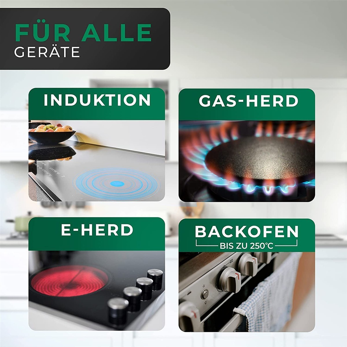 Induktion, Gasherd, E-Herd, Backofen, Kochfeld
