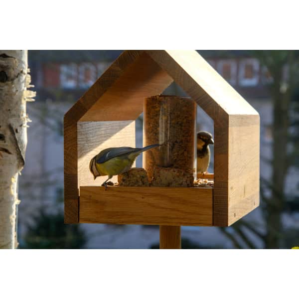 Dobar Vogelfutterhaus aus Eiche Bauhaus  #DH160