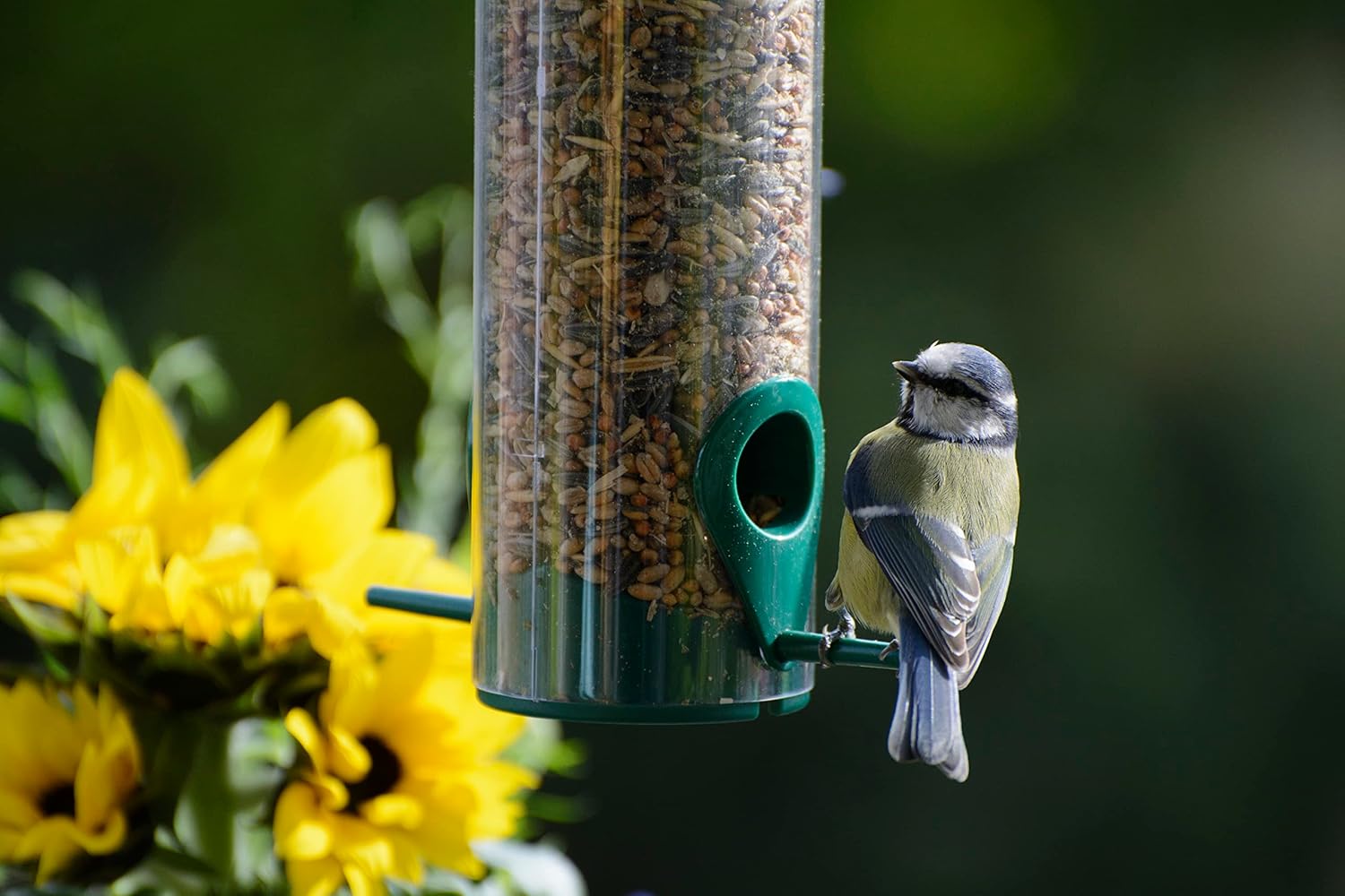 Dobar Vogel Futtersäule mit Anflugstangen hängend Wildvogelfutterspender