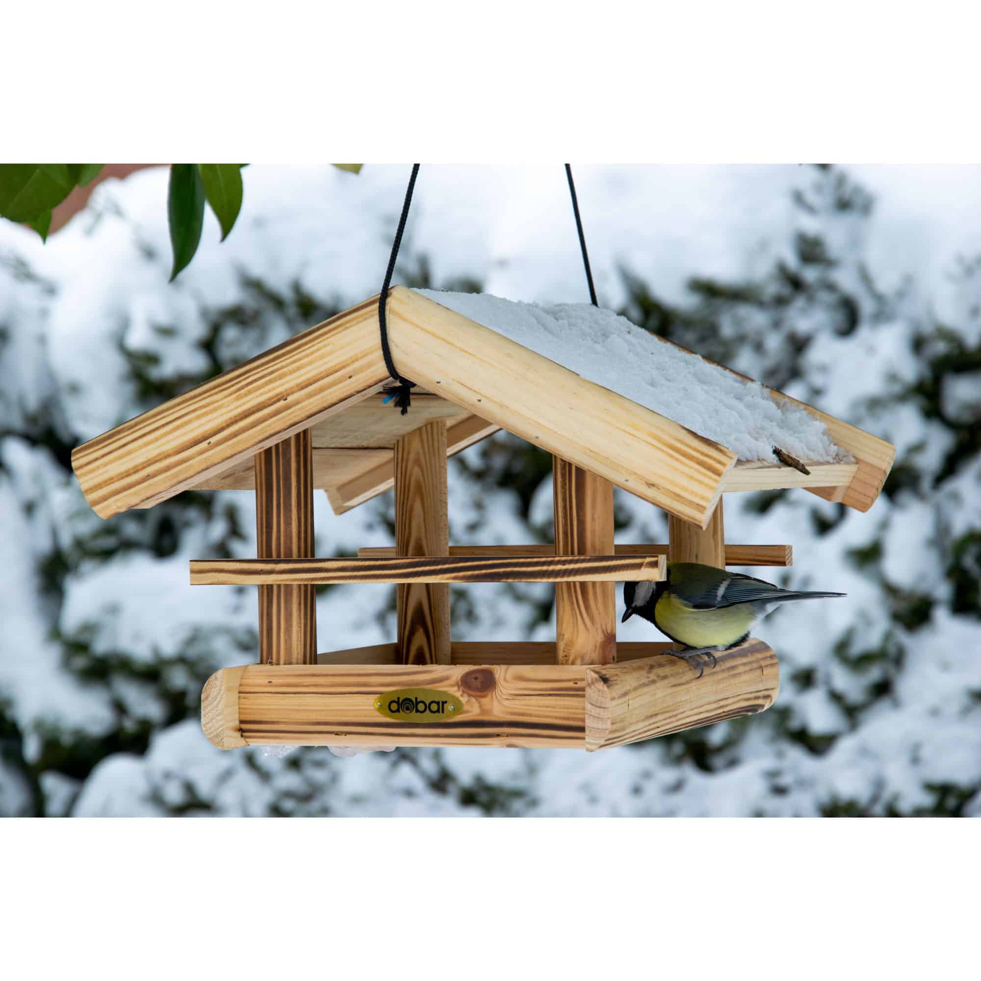 Vogelnest, Vogelhaus, Holz, Vögel-Futterhaus, Schneeobservation