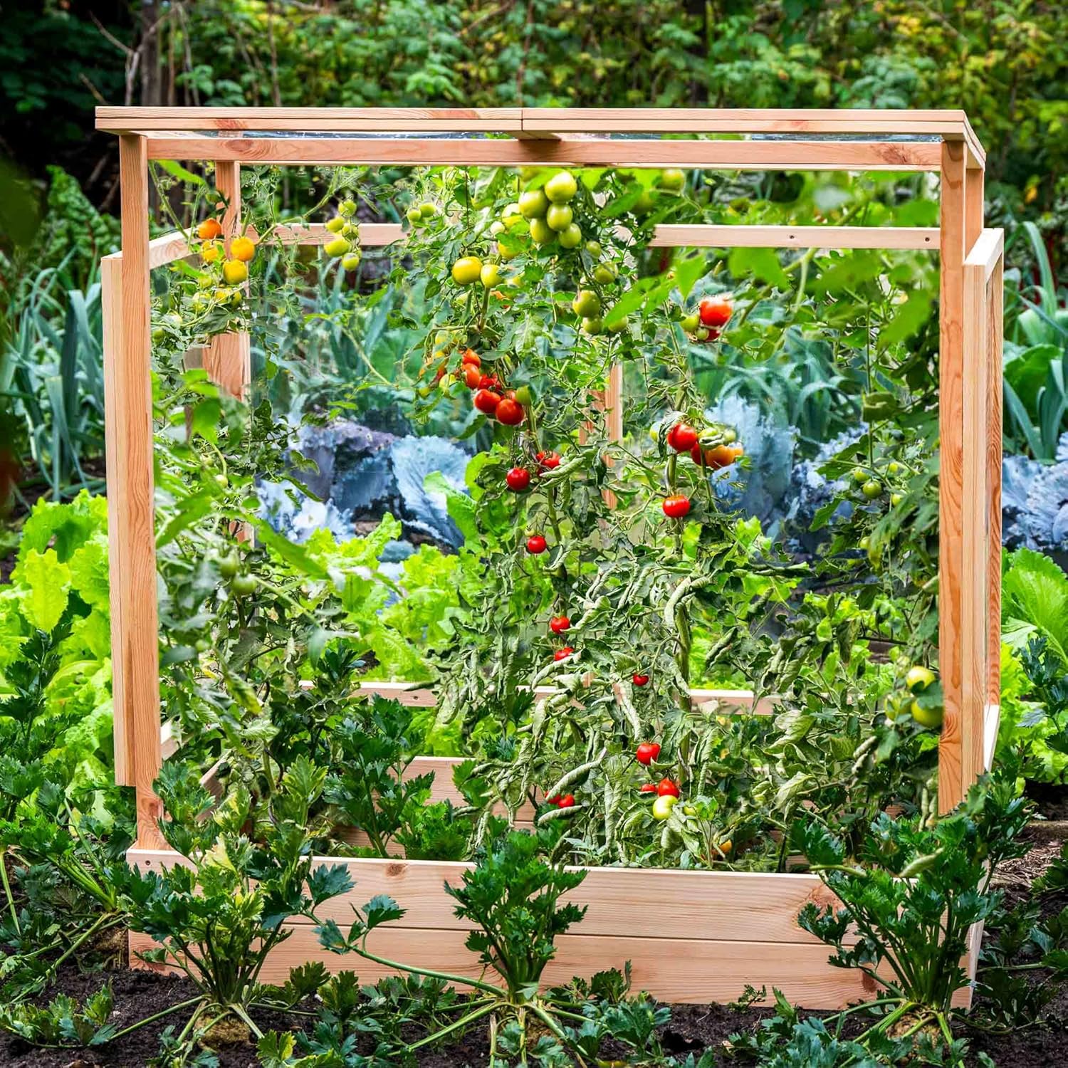 dobar Tomatenhaus aus Holz Gewächshaus Pflanzenhaus mit Rankhilfe Gemüseanbau
