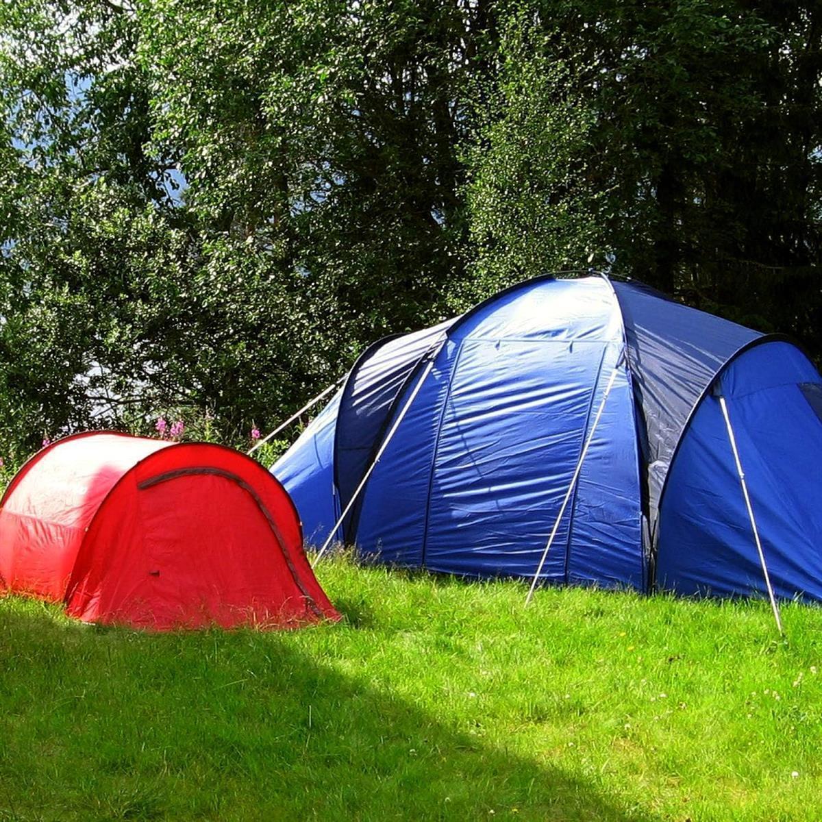 25x Zeltheringe 23cm Stahl Erdnägel Camping Outdoor