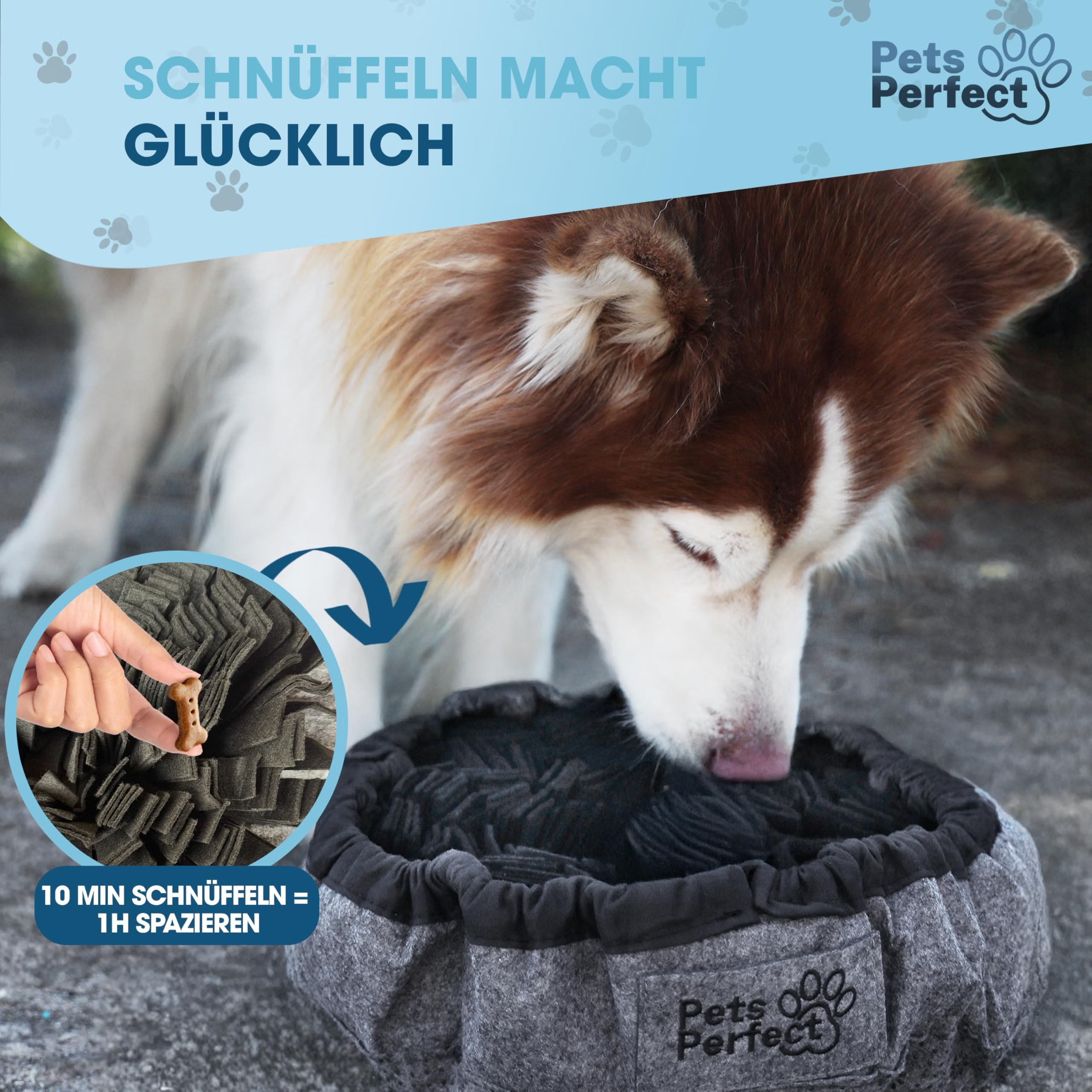 Hund, Hunde-Napf, Fell, Pfandkorb, Kauspielzeug