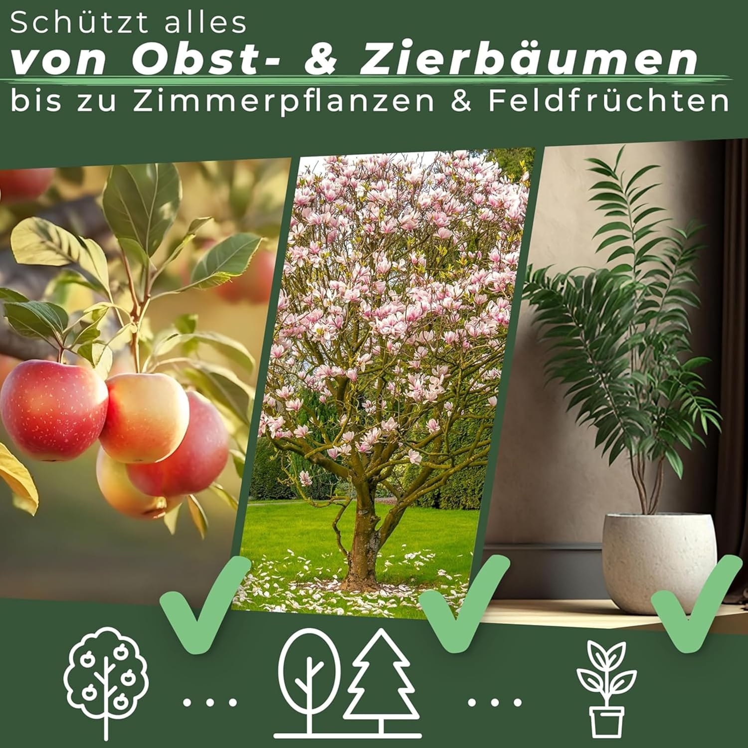 Briliantwerk Raupenleim-Spray für Obstbäume 0,4L I Der Leimring für Obstbäume schützt vor Frostspannern, Ameisen, Läusen uvm. Baumleim auch für Zimmerpflanzen geeignet