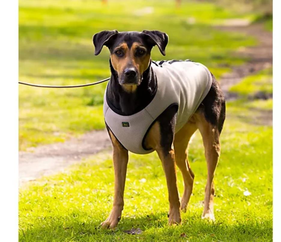 Hunter Hunde-Kühlweste 2in1 mit Geschirr Mesh-Design Gr. M atmungsaktiv