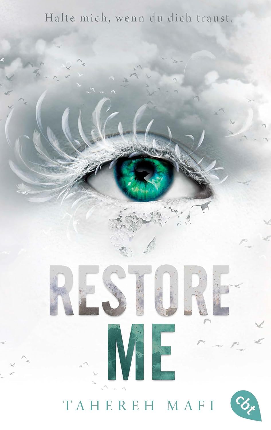 Restore Me: Die Fortsetzung der mitreißenden Romantasy-Reihe. TikTok made me buy it