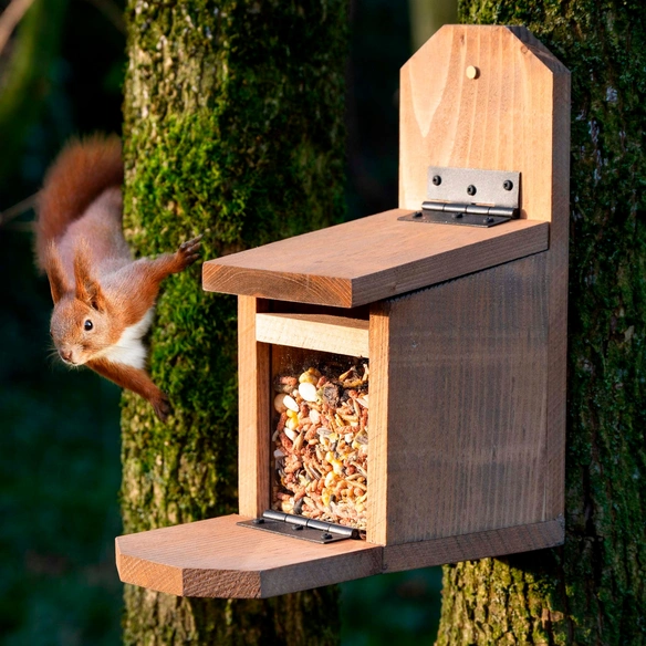 Dobar Futterstation für Eichhörnchen Pärnu BxHxL: 12 x 28 x 24 cm braun