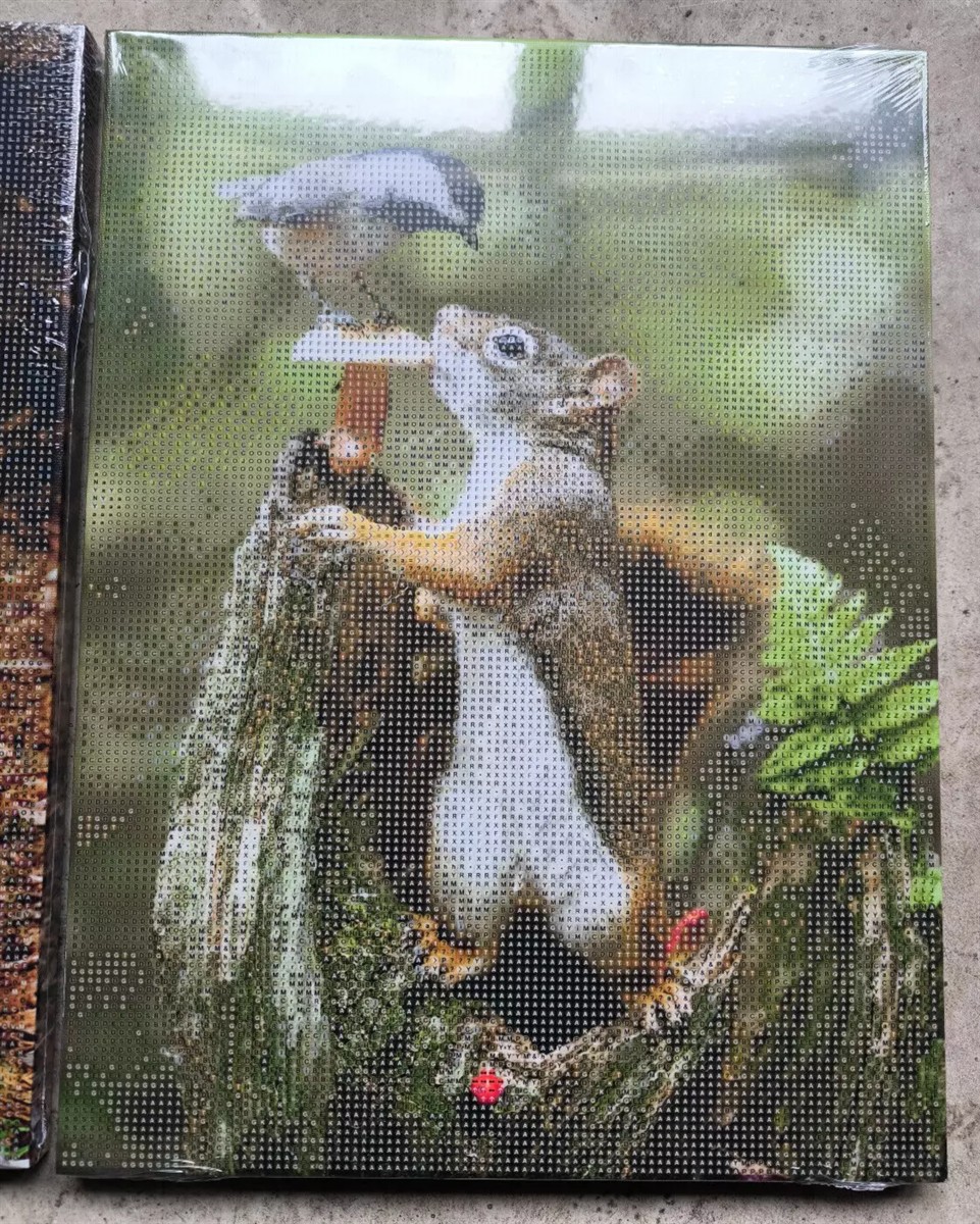 Weltbild Diamond Painting Eichhörnchen Trio auf Leinwand 30 cm - 3er Set