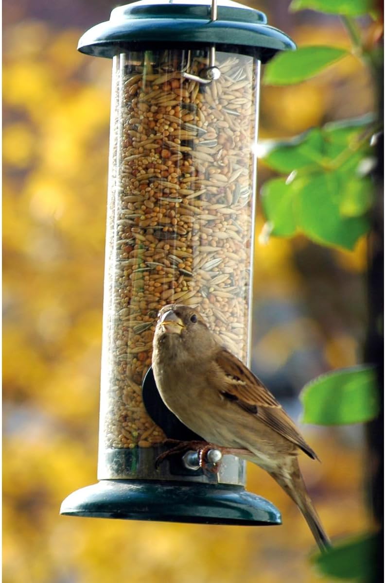 dobar Kompakte Vogelfuttersäule mit Anflugstangen - Wildvogelfutterspender für Sämereien - Vogelfutterstation Metall - Futterspender in Garten/Terrasse/Balkon - Ø 9,5 x 23 cm - Grün