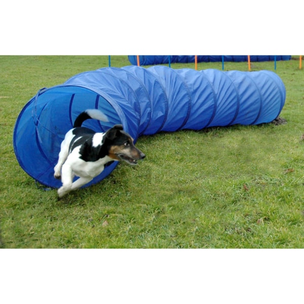 Dobar Agility Tunnel zusammenfaltbar