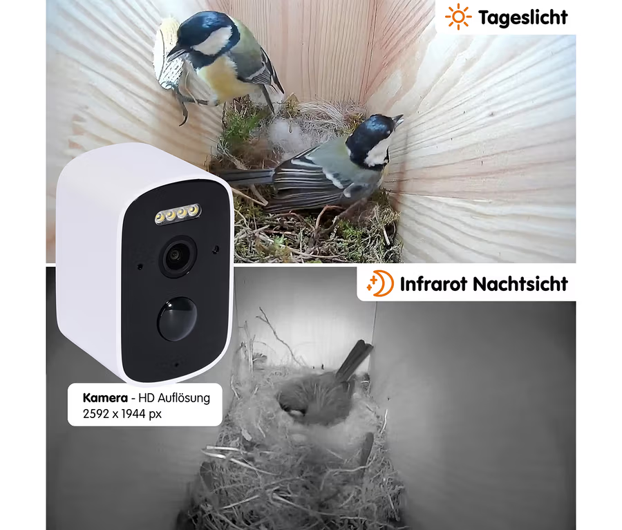 vogelbrutkasten, spionagekamera, kamera, nachtaufnahme, nistplatz
