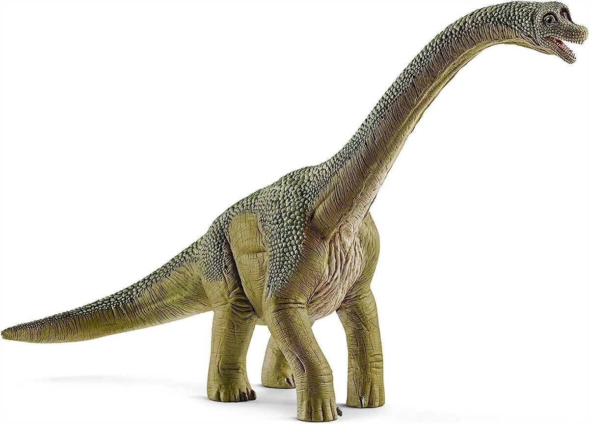 Dinosaurier, Plastikfigur, Brachiosaurus, Grün, Langhals
