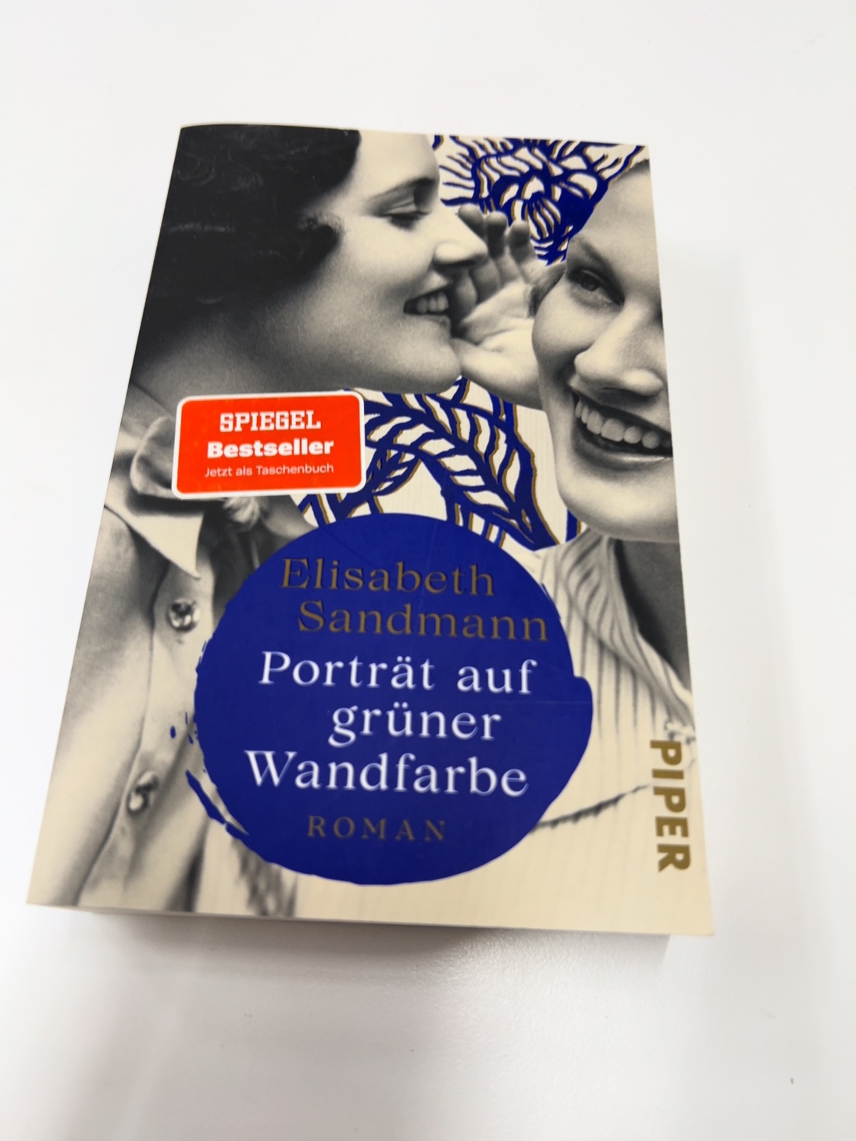 Bucheinband, Roman, Porträt, Grüner Wandfarbe, Elisabeth Sandmann