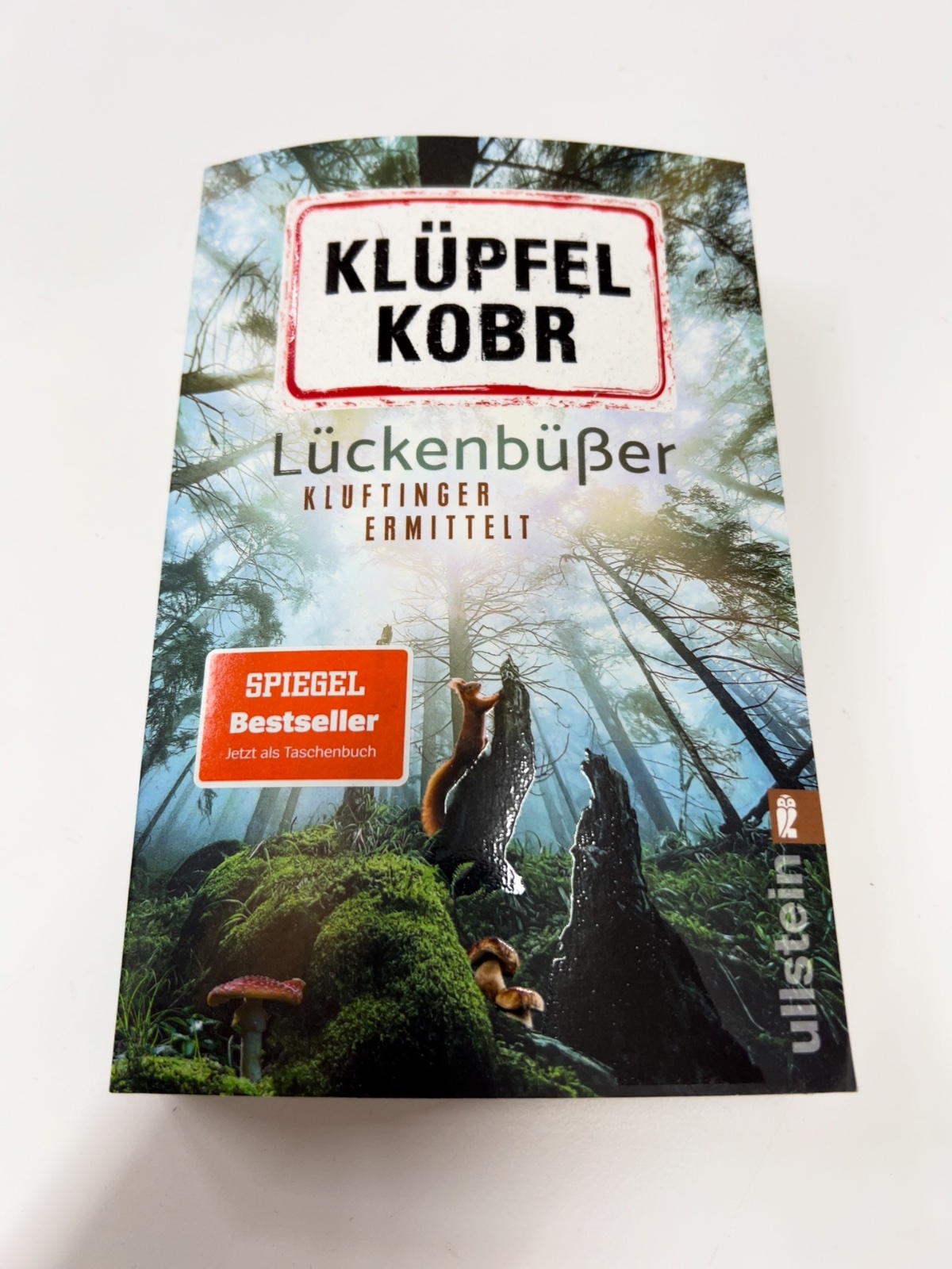Buch, Taschenbuch, Spiegel Bestseller, Waldszene, Mysterium