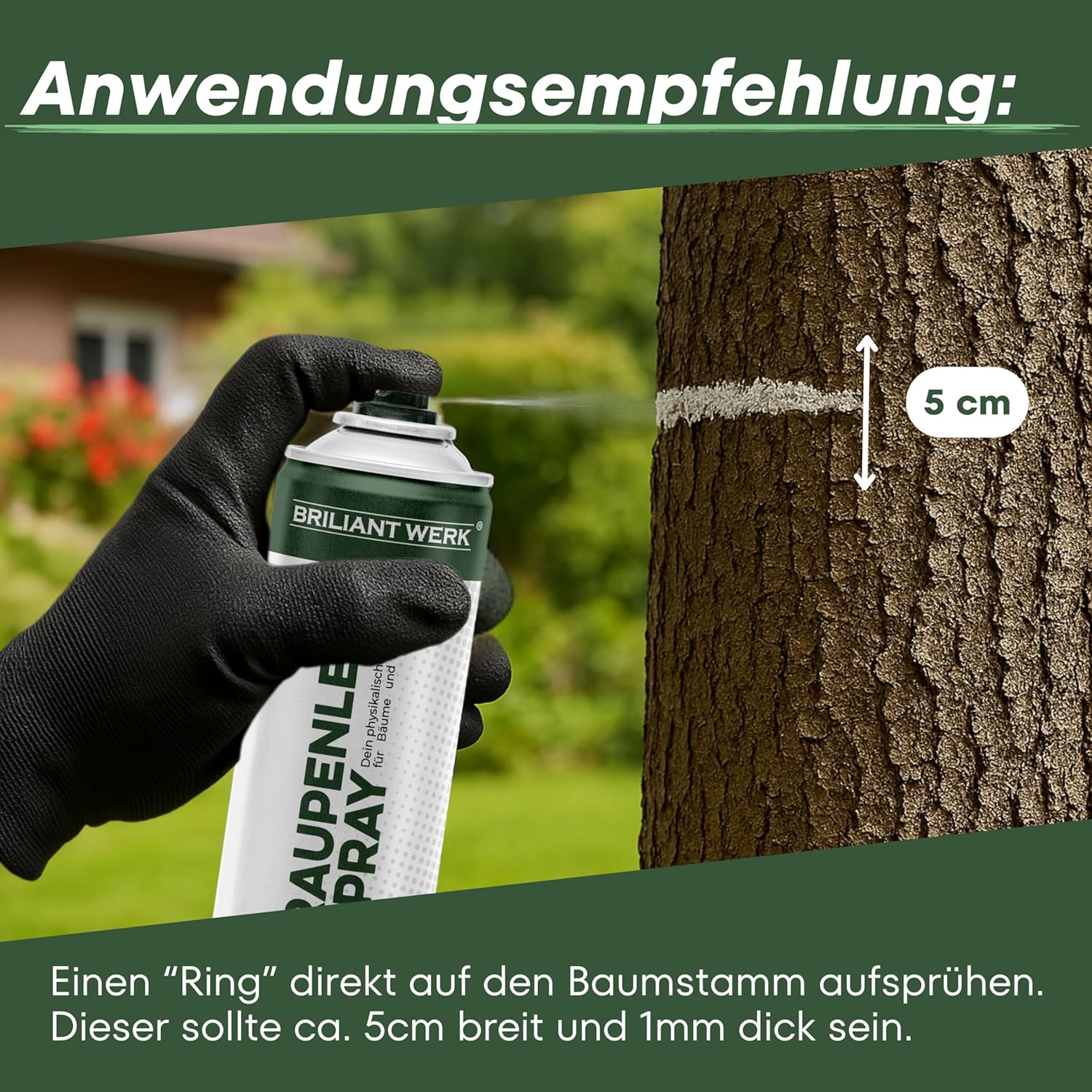 Briliantwerk Raupenleim-Spray für Obstbäume 0,4L I Der Leimring für Obstbäume schützt vor Frostspannern, Ameisen, Läusen uvm. Baumleim auch für Zimmerpflanzen geeignet