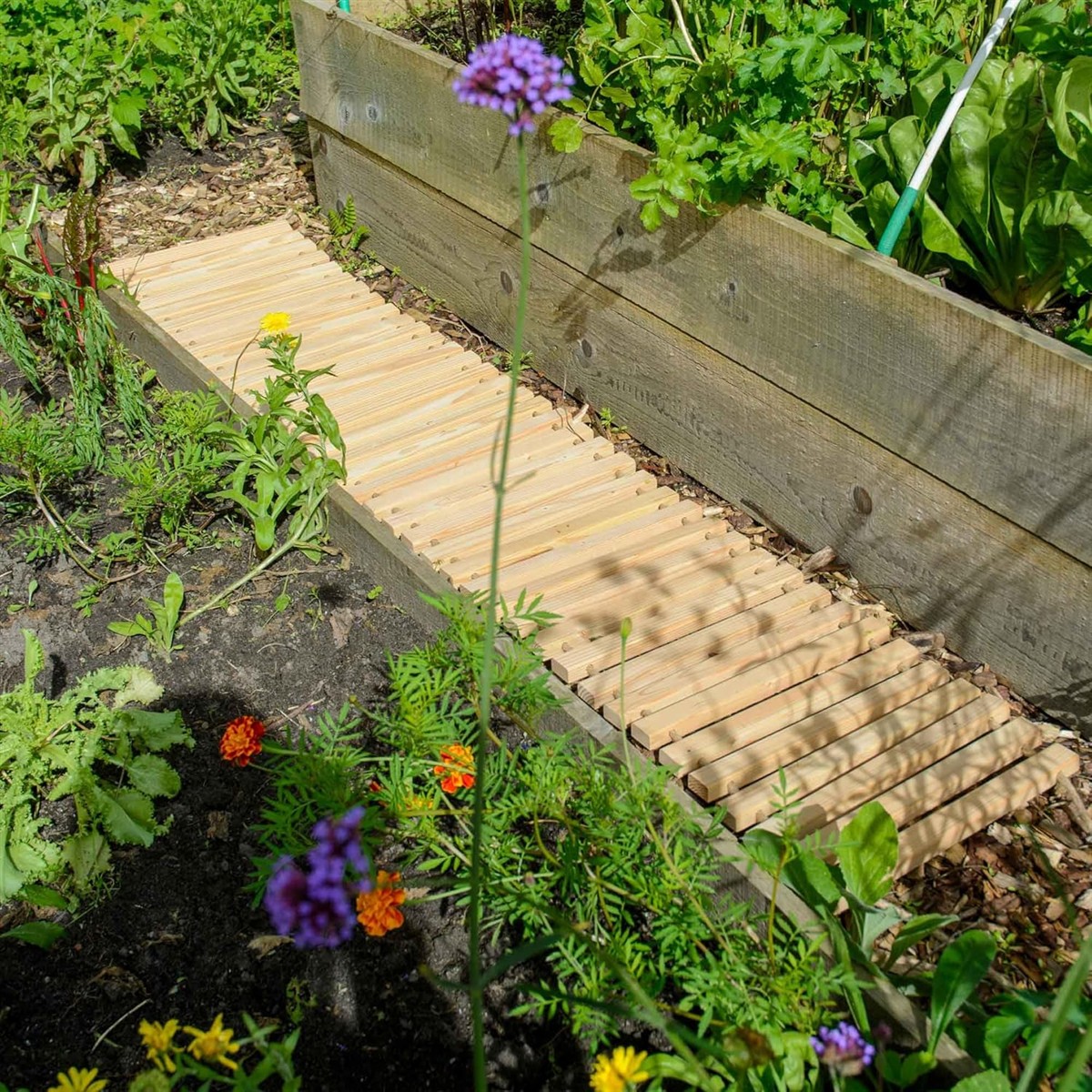 Garten, Holzweg, Beetbeet, Blumen, Pflanzen