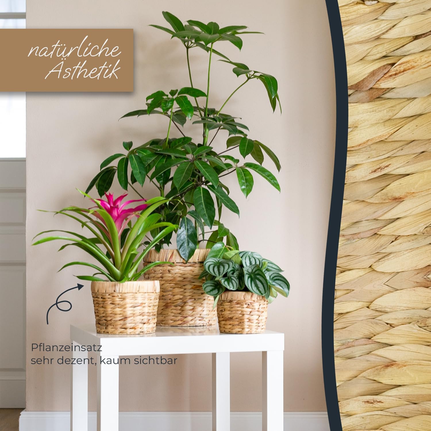 HMF Blumentopf rund Ø 14 cm geflochten