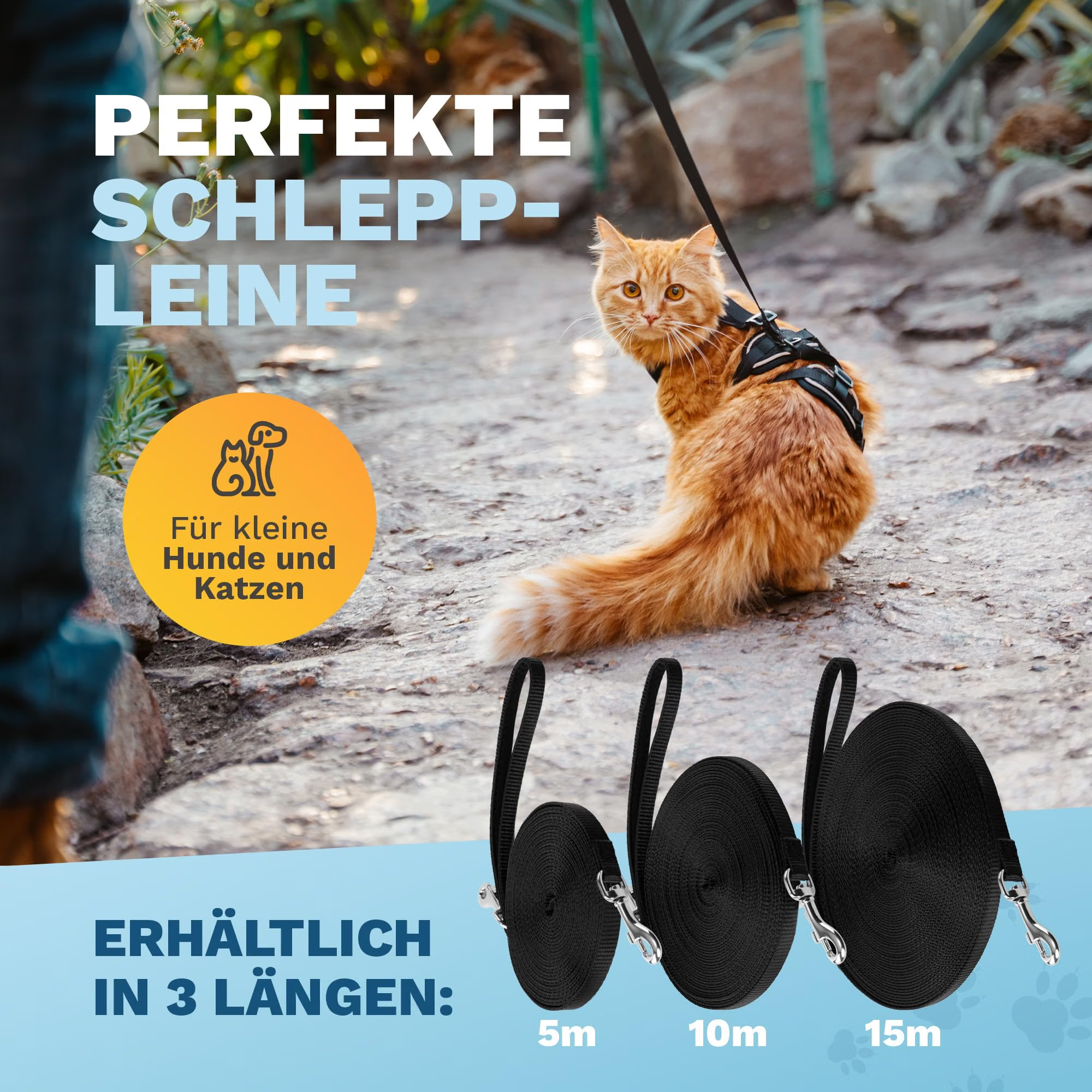 Katze, Gepäck-/Hundeleine, Leinenrollen, Haustier, 3-Längen-Set