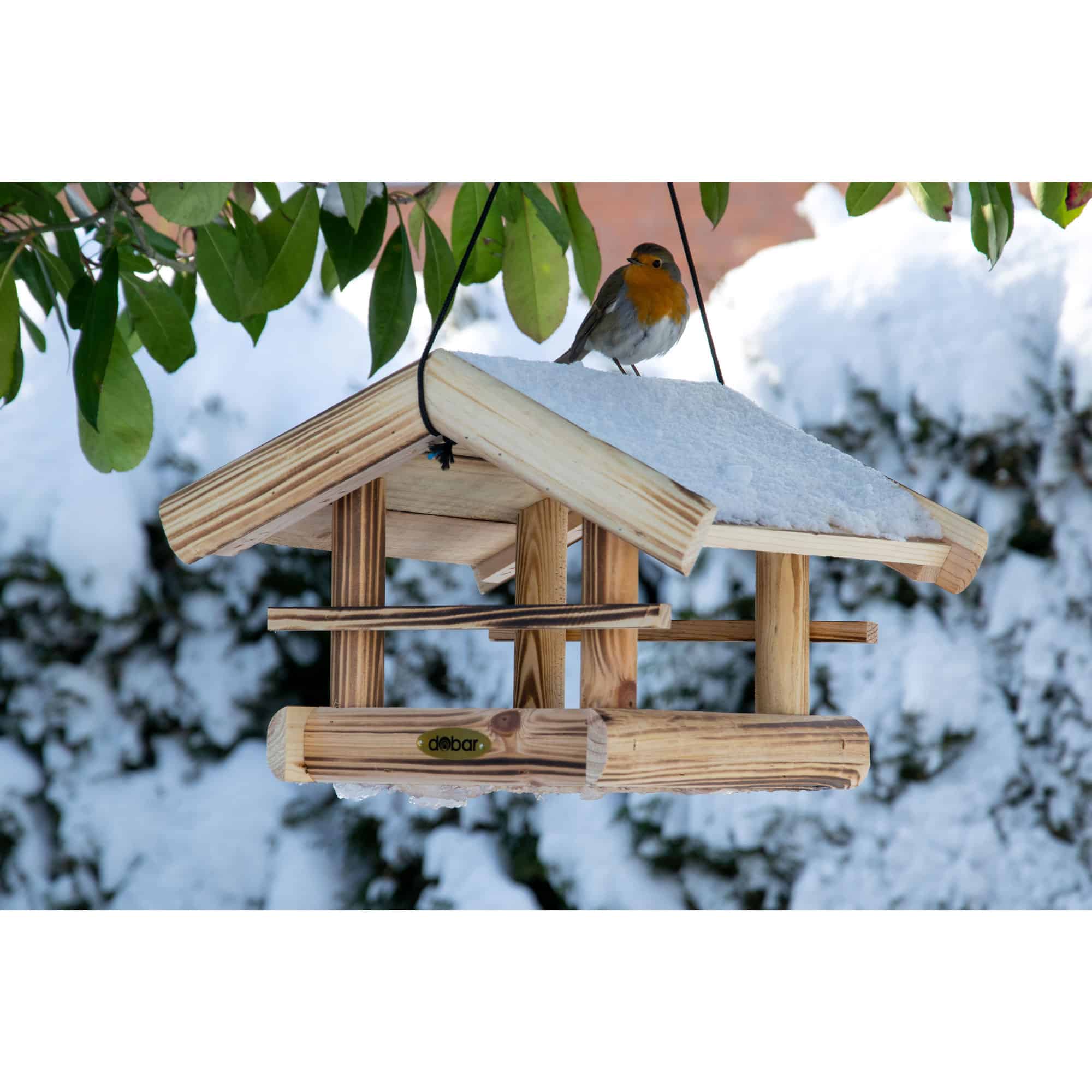 Vogelhaus, Futterhaus, Holz, Wintergarten?
