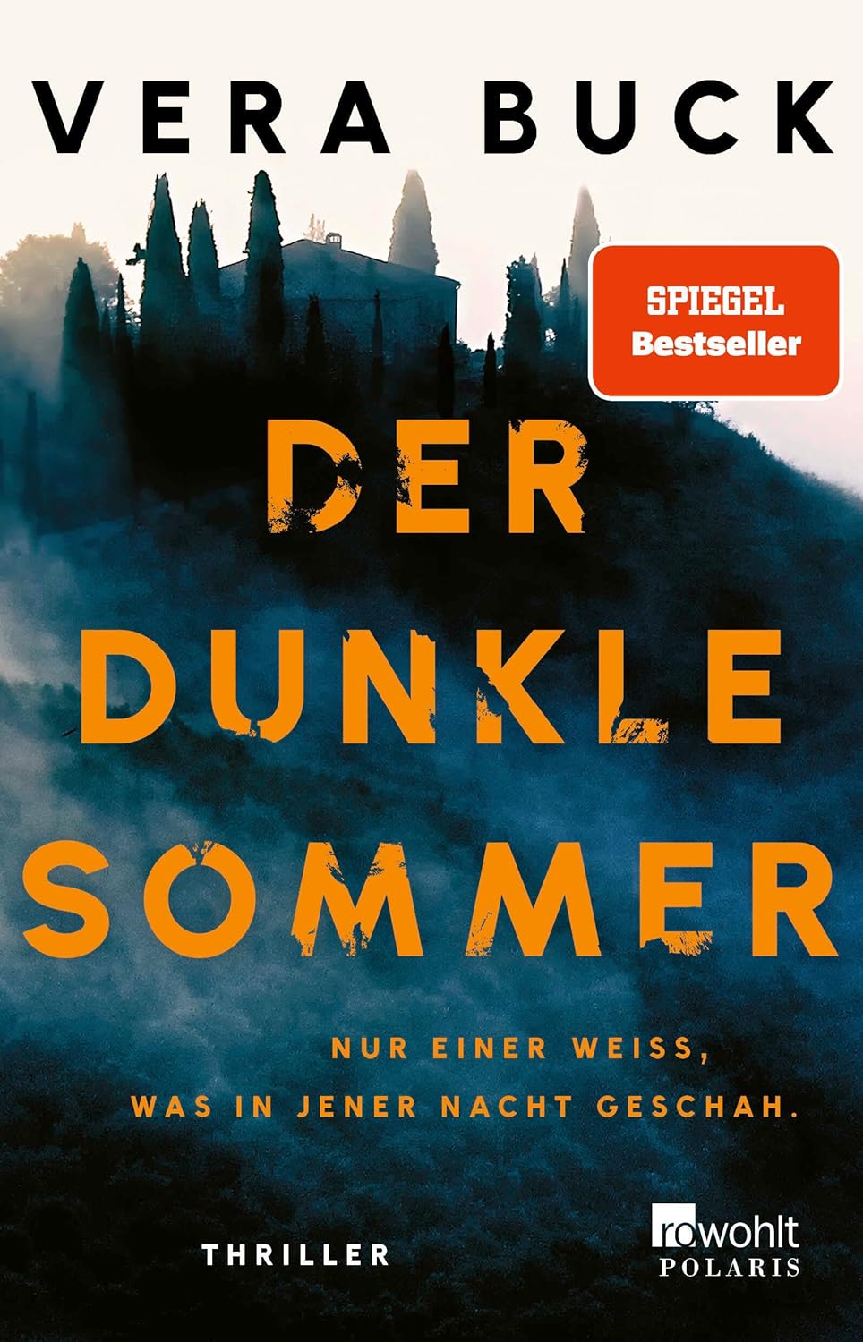 Der dunkle Sommer: Nur einer weiß, was in jener Nacht geschah Thriller