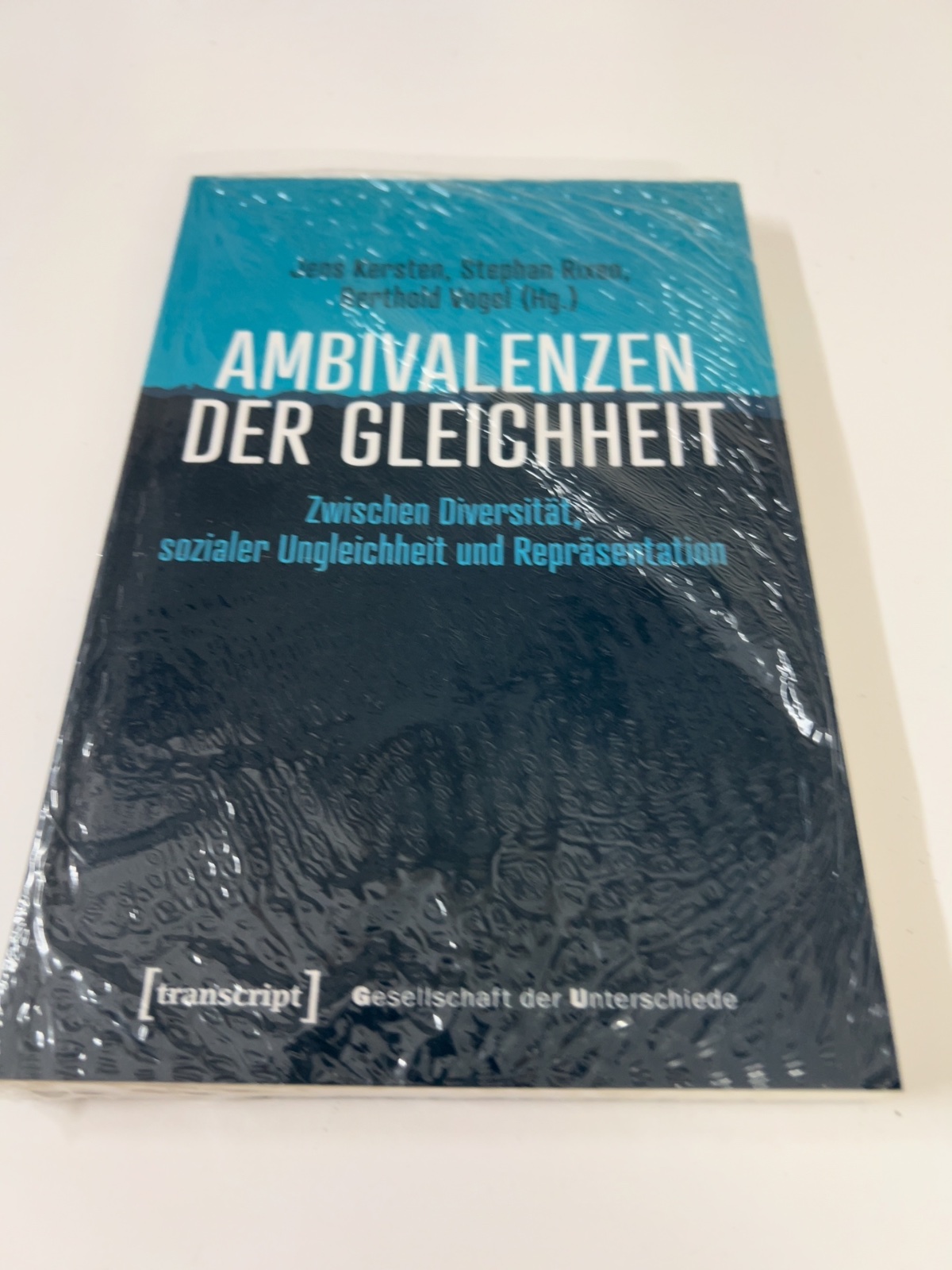 Buch, Publikation, Ambivalenzen, Gleichheit, Soziale Ungleichheit