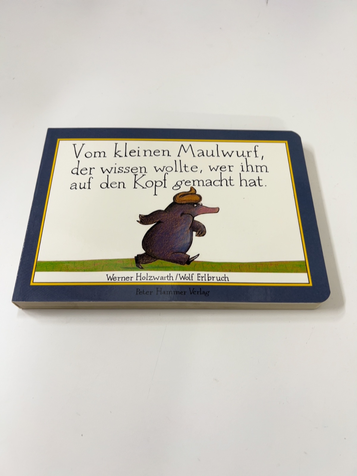 Kinderbuch, Wimmelbuch, Maulwurf, Illustration, Verlag