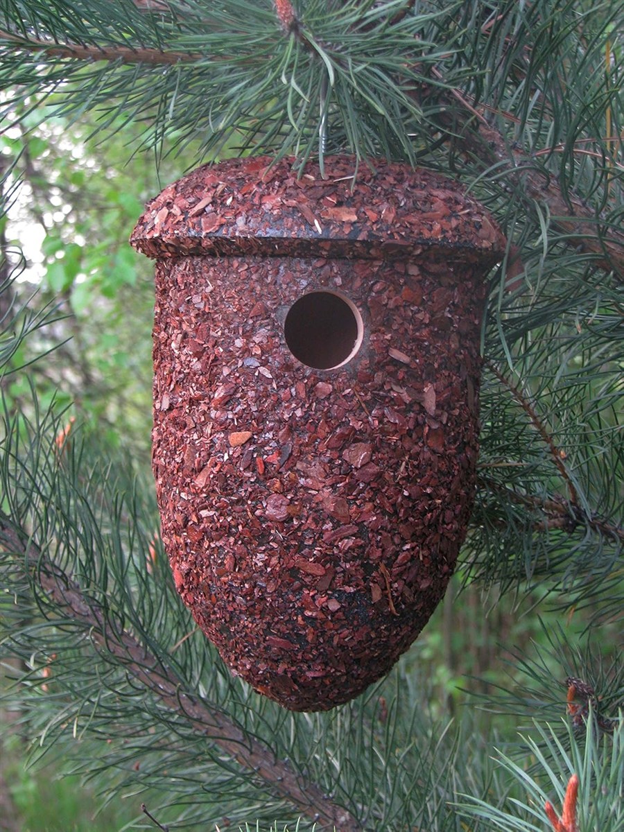 Vogelnest, Käferholz-Nest?, Insektenhaus, Vogelbarriere, Hängendes Nest?, Birkenrinden?, Korkwerk
