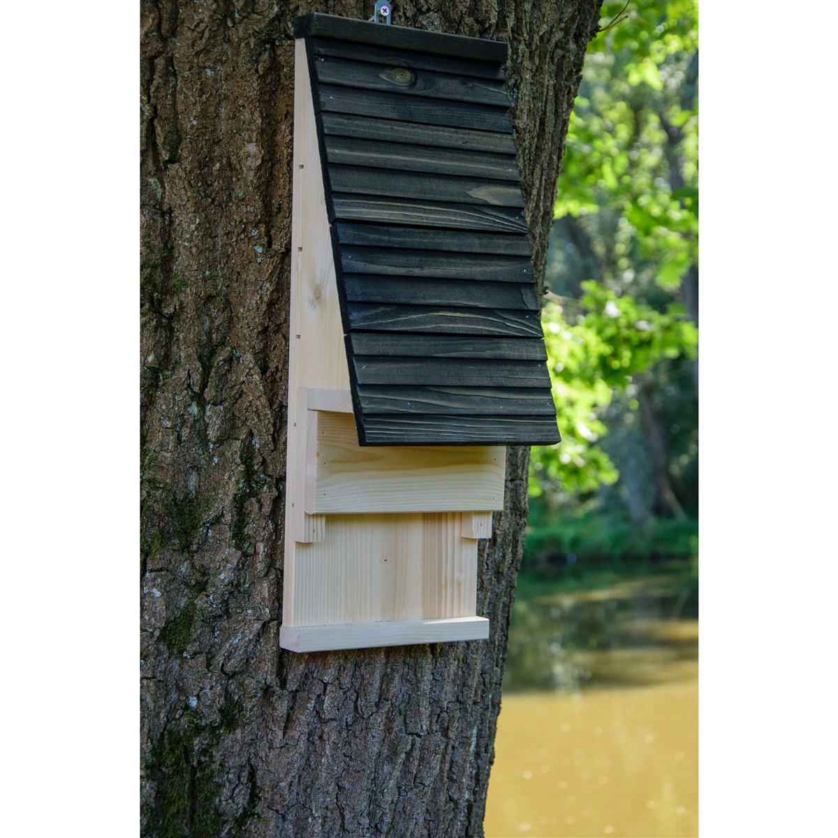 Dobar Großer Fledermauskasten „Pteropodidae“, schwarz