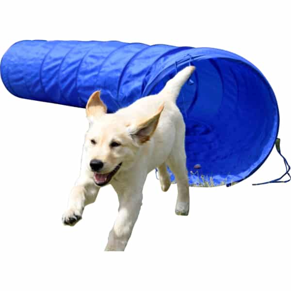 Dobar Agility Tunnel zusammenfaltbar groß