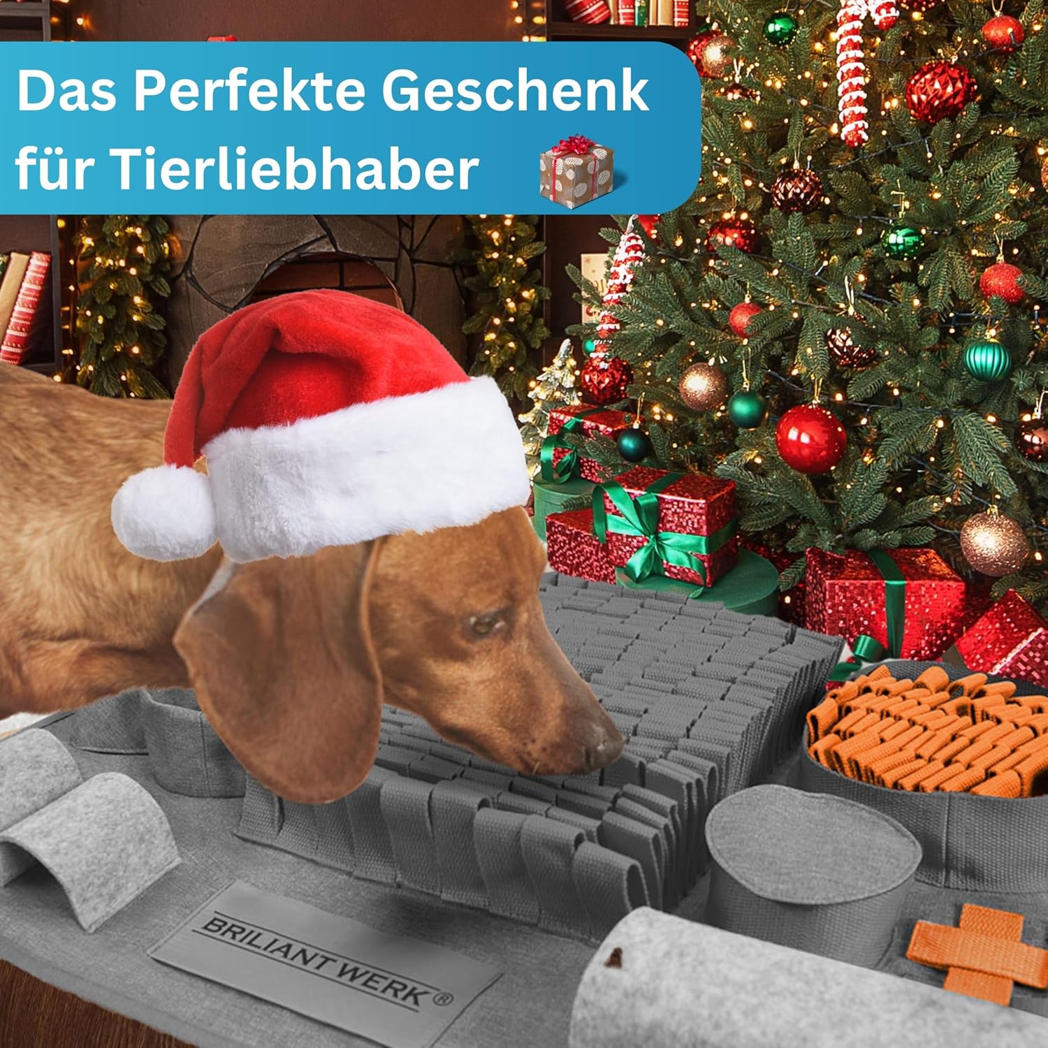 Briliantwerk Schnüffelteppich Hund – Extrem widerstandsfähiges Material - 10 Trainingselemente und 3 Schwierigkeitsstufen Intelligenzspielzeug orange