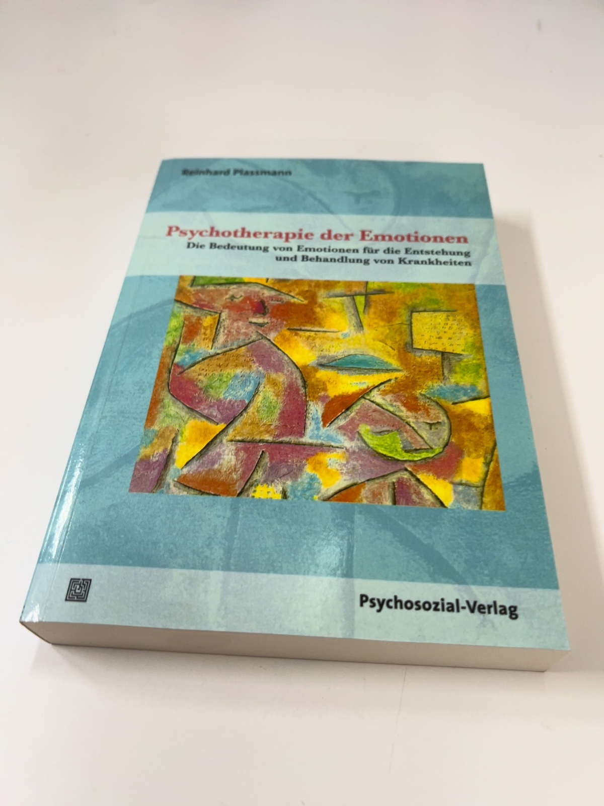 Buch, Psychotherapie, Krankheiten, Therapiebuch, Psychosozial-Verlag