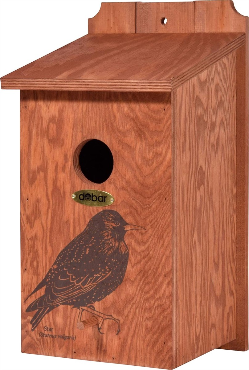 Vogelhaus, Holz, Vogel, orange-braun, Bruth箱