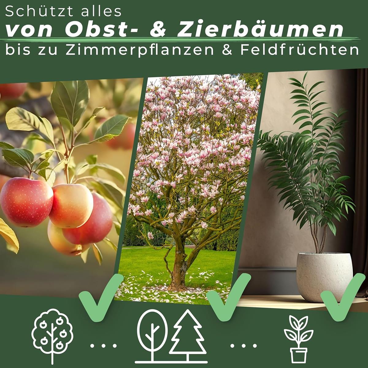Briliantwerk Raupenleim für Obstbäume 0,9L I Der Leimring für Obstbäume schützt vor Frostspannern, Ameisen, Läusen UVM. - Baumleim auch für Zimmerpflanzen geeignet